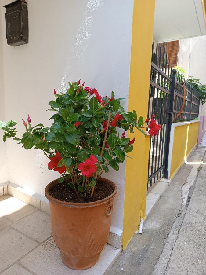 Stefanos Family Apartment Lefkáda エクステリア 写真
